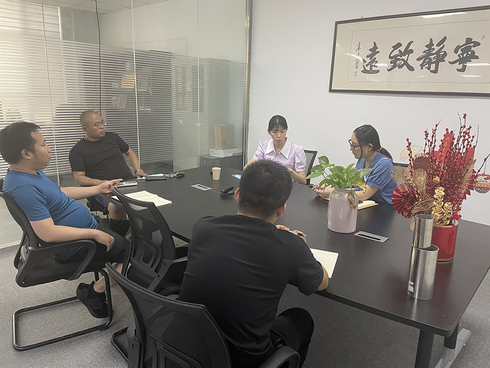 Relevant colleagues are discussing the production plan and quotation plan of customized products