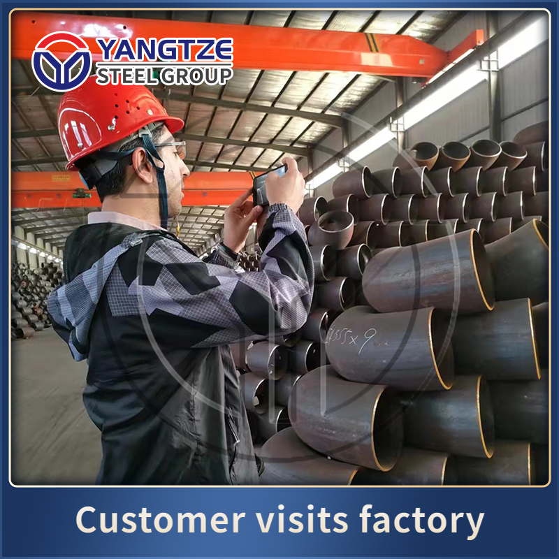 Iranian customers visit Yangtze Steel Group factory